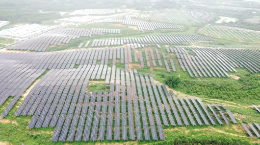 光耀世界丨賦能“大灣區”！晶澳科技n型組件助力中國能建350MW項目落地粵西