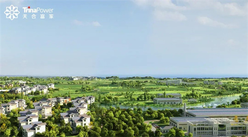 分布式光伏“大浪淘沙” 什么是打造新質(zhì)生產(chǎn)力的關(guān)鍵？