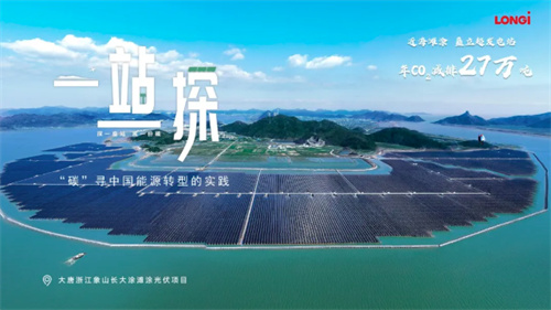 震撼！63.7萬(wàn)塊隆基組件建起灘涂上的鋼鐵森林