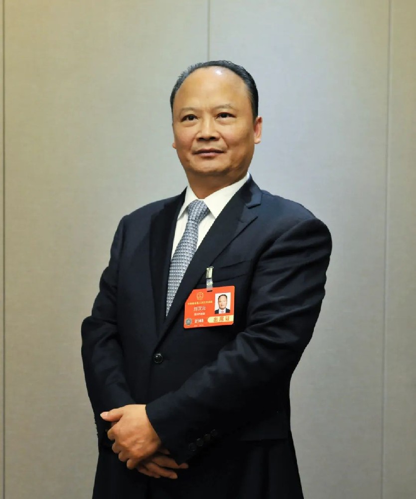 全國人大代表劉漢元：建議擴大國內光伏裝機，推進(jìn) “3060” 目標達成